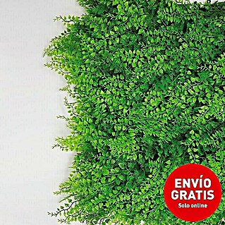 Jardín vertical Helecho (Plástico, L x An: 100 x 50 cm, Apto para: Decoración)