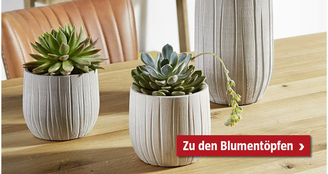 Blumentöpfe