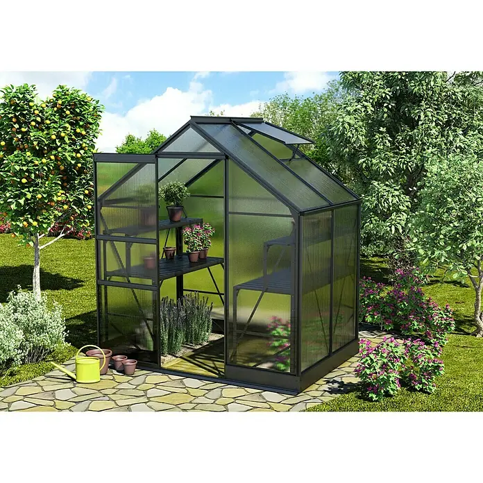 Vitavia Gewächshaus Apollo 2500 - Außenmaß inkl. Dachüberstand (B x T): 195 x 137 cm, 4 mm, Schwarz - Bild eines Gewächshauses mit Regalen, Pflanzen und Bäumen im Garten, das für den Anbau verschiedener Pflanzen genutzt wird.