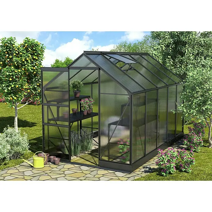 Vitavia Gewächshaus Apollo 6200 - Außenmaß inkl. Dachüberstand (B x T): 195 x 323 cm, 4 mm, Schwarz - Das Bild zeigt ein geräumiges Gewächshaus mit Regalen voller Pflanzen und einem offenen Eingangsbereich, umgeben von üppigem Grün.