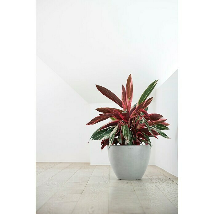 Ecopots Pflanztopf Antwerpen (Außenmaß (Ø x H): 40 x 30 cm, Kunststoff, Weiß Grau) | BAUHAUS