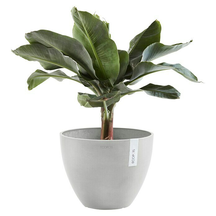 Ecopots Pflanztopf Antwerpen (Außenmaß (Ø x H): 50 x 37,5 cm, Kunststoff, Weiß Grau) | BAUHAUS