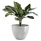 Ecopots Pflanztopf Antwerpen (Außenmaß (Ø x H): 50 x 37,5 cm, Kunststoff, Weiß Grau) | BAUHAUS