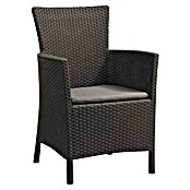 Allibert Gartenmöbel-Set Iowa (4 -tlg., Kunststoff, 100% Polyester, Anthrazit) | BAUHAUS