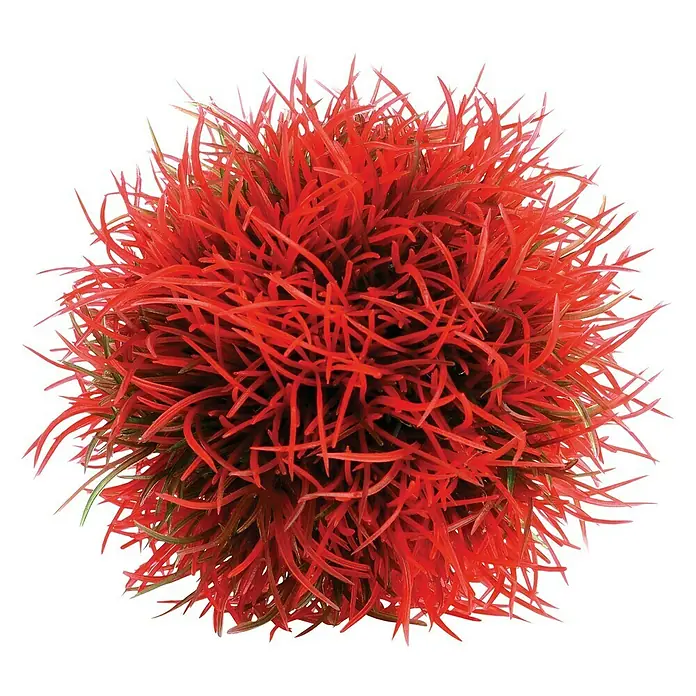 biOrb Deko-Set für Aquarien Red Forest - 8 -tlg., Rot/Weiß, Passend für: Aquarien ab 15 l - Roter Aquarium-Dekoball mit grünen Akzenten. Ein Blickfang für jedes Aquarium, der Farbe und Struktur bietet.