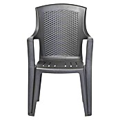 Progarden Stapelstuhl Eden (Stapelbar, Anthrazit, B x T x H: 54 x 46 x 91 cm) | BAUHAUS
