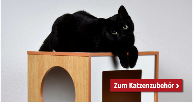 Katzenbedarf