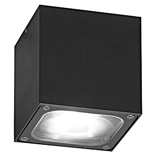 Konstsmide Led-plafondlamp voor buiten Cesena (l x b x h: 10 x 10 x 10 cm, Antraciet)
