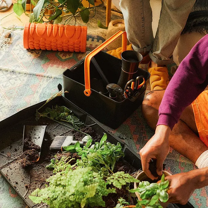 Fiskars Garten-Aufbewahrungsbox für Pflanzgeräte - L x B x H: 35,3 cm x 31,1 mm x 17,4 cm, Kunststoff - Nahaufnahme einer Gartenszene mit einer Pflanzkiste, Werkzeugen und Händen, die Pflanzen einsetzen.
