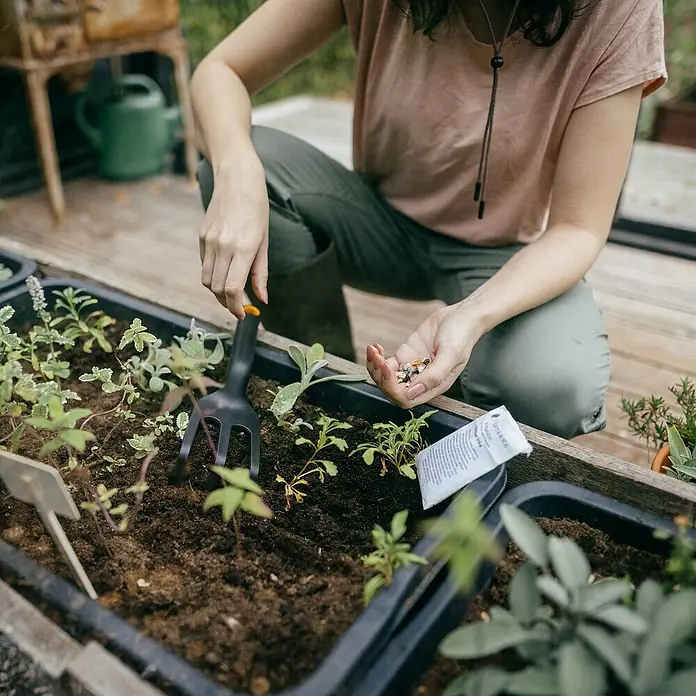 Fiskars Solid Handgabel - 27,4 cm - Nahaufnahme einer Person, die Samen in einem erhöhten Gartenbeet mit verschiedenen Pflanzen und einem kleinen Gartengerät pflanzt.
