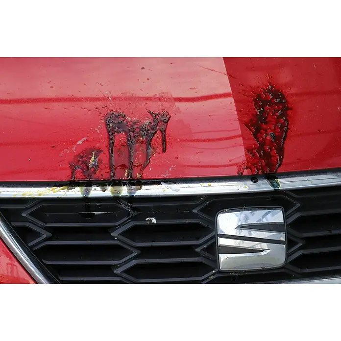 Nigrin Performance Insektenentferner mit Indikator - 500 ml - Das Bild zeigt eine rote Motorhaube eines SEAT Autos, die mit Vogelkot bedeckt ist. Das Emblem des Autos ist gut sichtbar.