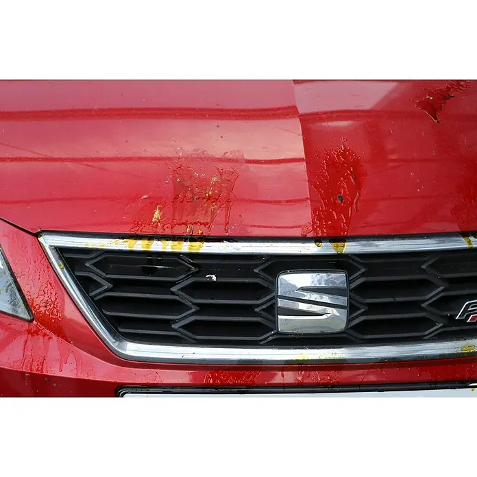 Nigrin Performance Insektenentferner mit Indikator - 500 ml - Die Nahaufnahme der roten Motorhaube eines SEAT, teilweise mit klebrigen, gelblichen Rückständen bedeckt, die vor dem gereinigten Bereich liegen.