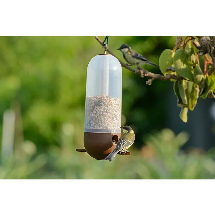 Dobar Vogelfutterstation - L x B x H: 9 x 9 x 25 cm - Ein brauner und durchsichtiger Vogelfutterspender hängt draußen und wird von zwei Meisen besucht, die das Futter genießen.