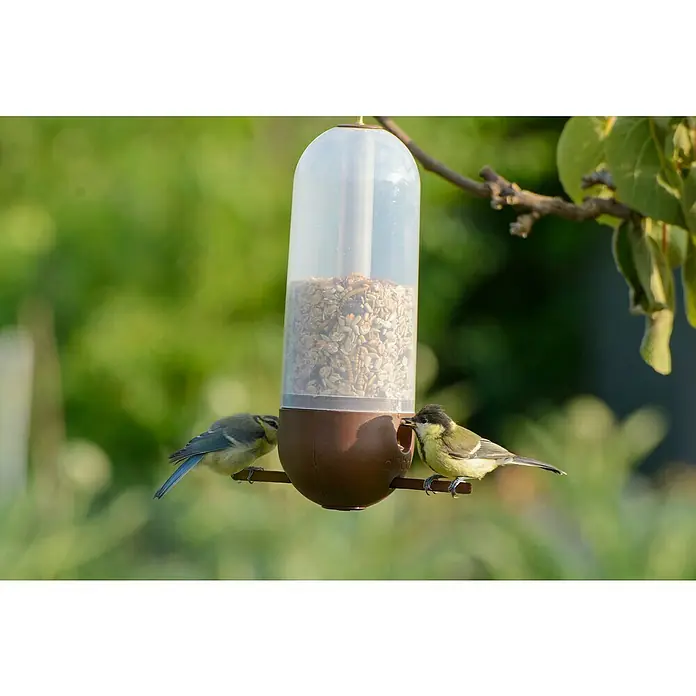 Dobar Vogelhaus - 9 x 9 x 25 cm, Holz, Transparent/ Braun - Zwei Blaumeisen picken an einem Futterautomaten, der mit Körnern gefüllt ist. Die Vögel sitzen auf einer Stange und fressen.