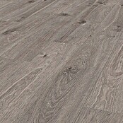 Krono Original Laminatmuster Castello Tornado Oak (297 x 192 x 8 mm, Tornado Oak) | BAUHAUS