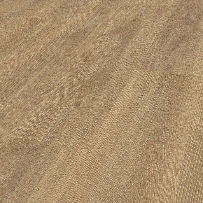 Krono Original Laminatmuster Castello Natural Cashmere Oak (297 x 192 x 8 mm, Natural Cashmere Oak) | BAUHAUS