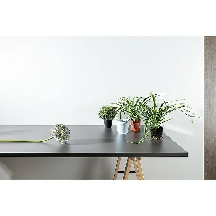 Tischplatte - Anthrazit, 120 cm x 80 cm x 25 mm - Nahaufnahme eines Tisches mit verschiedenen Topfpflanzen und einer einzelnen Zierlauchblüte, die eine ruhige und natürliche Atmosphäre ausstrahlen.