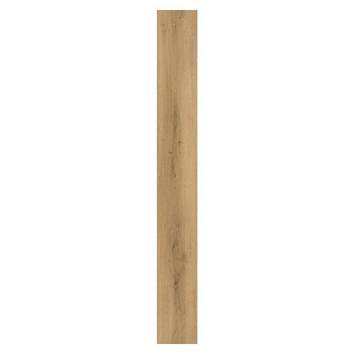 Vinylboden Rigid Eiche Stratos (Stratos, Landhausdiele, 1 830 x 229 x 6 mm) | BAUHAUS