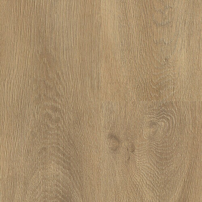 Krono Original Laminatmuster Castello Natural Cashmere Oak (297 x 192 x 8 mm, Natural Cashmere Oak) | BAUHAUS