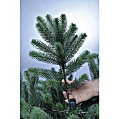 Xenotec Künstlicher Weihnachtsbaum PM-BO85 (Höhe: 85 cm, Mit Standfuß)