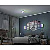 Paulmann LED-Panel Velora Rainbow (16 W, L x B x H: 29,5 x 29,5 x 6,4 cm, Weiß, RGBW) | BAUHAUS