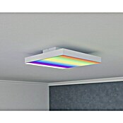 Paulmann LED-Panel Velora Rainbow (16 W, L x B x H: 29,5 x 29,5 x 6,4 cm, Weiß, RGBW) | BAUHAUS