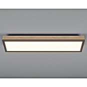 Globo Doro Panel LED (24 W, 80 x 20 cm, Marrón, Multicolor) | BAUHAUS