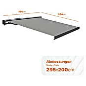 SmartSun Vollkassettenmarkise Fiji Solar Motion (Grau, Breite: 2,95 m, Ausfall: 2 m) | BAUHAUS