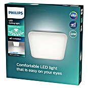 Philips LED stropna svjetiljka Mauce  (24 W, D x Š x V: 43 x 43 x 7,5 cm) | BAUHAUS