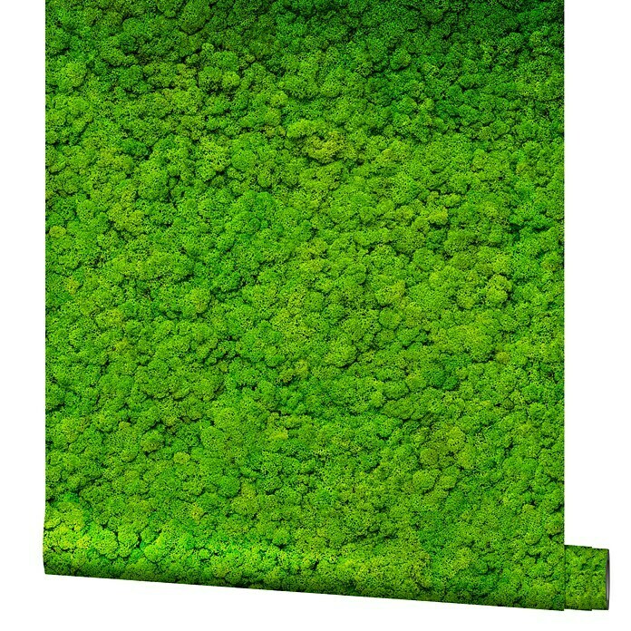 Marburg GZSZ Vliestapete Mooswand (Hellgrün, Floral, 10,05 x 0,53 m)