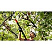 Bosch Power for All 18V Akku-Gartenschere AdvancedPrune 18V-45 (18 V, Li-Ionen, Ohne Akku, Max. Aststärke: 45 mm) | BAUHAUS