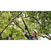 Bosch Power for All 18V Akku-Gartenschere AdvancedPrune 18V-45 (18 V, Li-Ionen, Ohne Akku, Max. Aststärke: 45 mm) | BAUHAUS