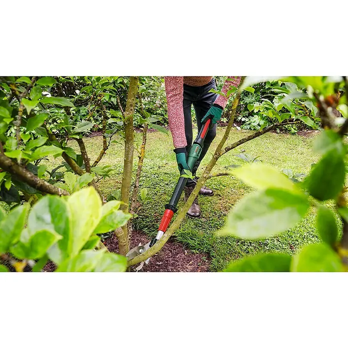 Bosch Power for All 18V Griffverlängerung - Passend für: Bosch Power for All 18V Akku-Gartenschere AdvancedPrune 18V-45 - Baumpflege mit einer Bosch Hochentaster: Eine Person schneidet Äste mit einer Hochentaster von Bosch, um Bäume zu pflegen.