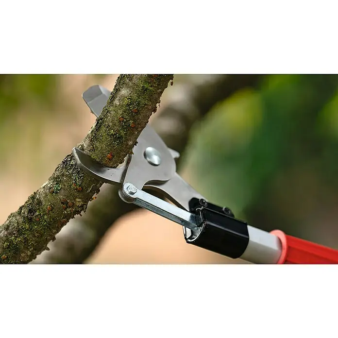 Bosch Power for All 18V Griffverlängerung - Passend für: Bosch Power for All 18V Akku-Gartenschere AdvancedPrune 18V-45 - Nahaufnahme einer Astschere, die einen Ast schneidet. Das Werkzeug ist silberfarben mit schwarzen und roten Akzenten.