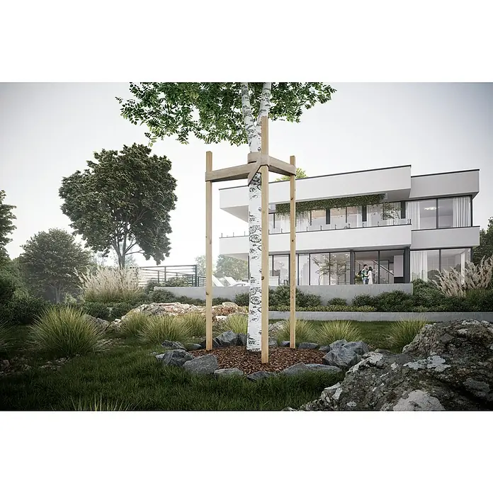 Joda Baumpfahl Vierkant - 4 x 4 x 150 cm - Das Bild zeigt einen neu gepflanzten, von einem Holzgerüst gestützten Baum, der auf einem Rasen vor einem modernen Haus steht.