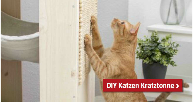 DIY Kratztonne Katzen 