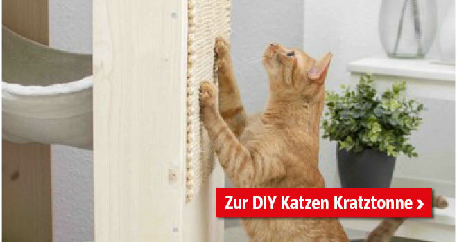 DIY Kratztonne Katzen 