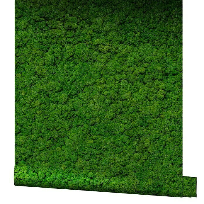 Marburg GZSZ Vliestapete Mooswand (Dunkelgrün, Floral, 10,05 x 0,53 m)