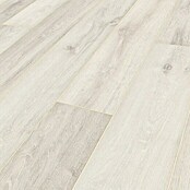 Krono Original Laminat Atlantic 12 Iceberg Oak (1.288 x 195 x 12 mm, Landhausdiele, Iceberg Oak) | BAUHAUS