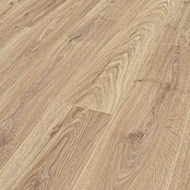 Krono Original Laminatmuster Atlantic 8 Biscotti Oak (297 x 192 x 8 mm, Landhausdiele, Biscotti Oak) | BAUHAUS