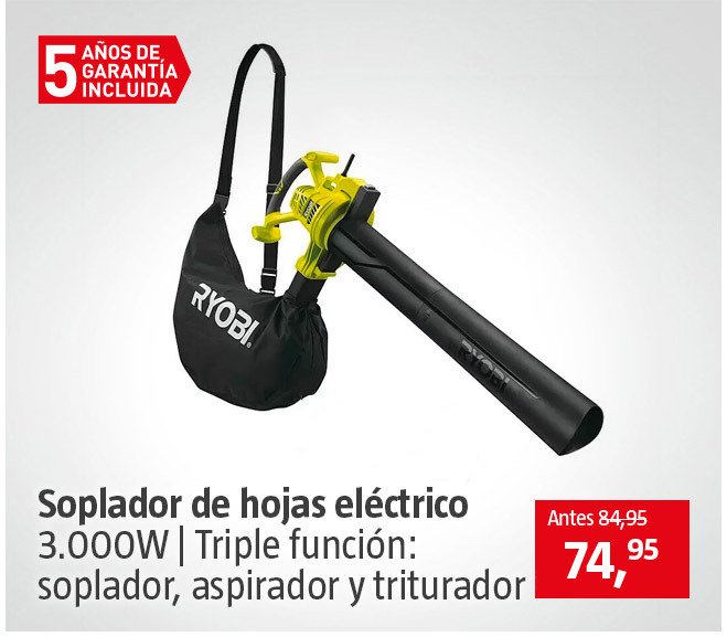 Soplador de hojas 