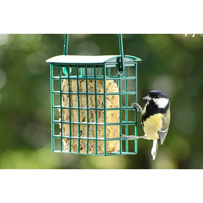 Dobar Wildvogelfutter Set8 Stk., Mit Futterspender - Eine Kohlmeise sitzt an einem grünen Futterhaus mit einem fetthaltigen Futterblock darin und pickt daran.