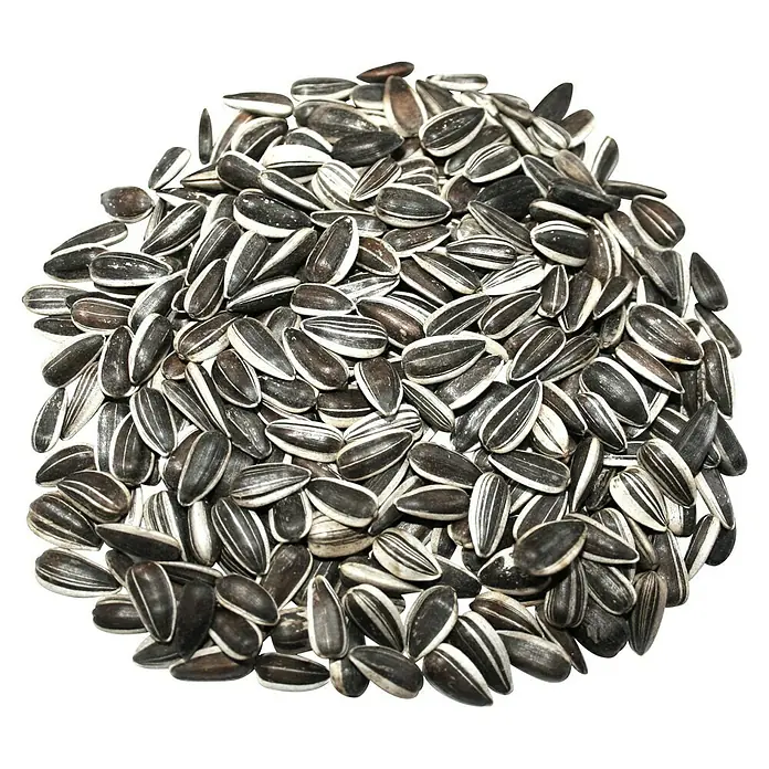 Dobar Wildvogelfutter - 20 kg, Ungeschält - Nahaufnahme von schwarzen Sonnenblumenkernen mit weißen Streifen, ideal als Knabberartikel oder Vogelfutter.