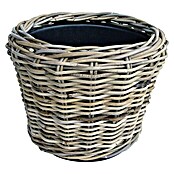 Van der Leeden Drypot Pflanzkorb (Ø x H: 43 x 33 cm, Rattan, Grau) | BAUHAUS