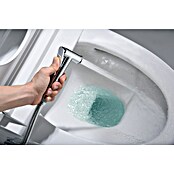 Imex Génova Ducha higiénica inodoro (Cromo) | BAUHAUS
