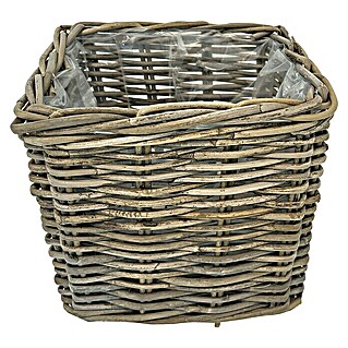 Van der Leeden Pflanzkasten (L x B x H: 27 x 27 x 25 cm, Rattan, Grau)