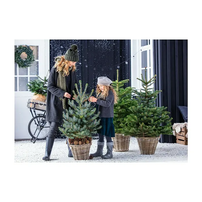 Van der Leeden Pflanztopf - Ø x H: 30 x 23 cm, Rattan, Grau - Eine Frau und ein Mädchen schmücken einen kleinen Weihnachtsbaum im Topf, umgeben von weiteren Bäumen in Körben.