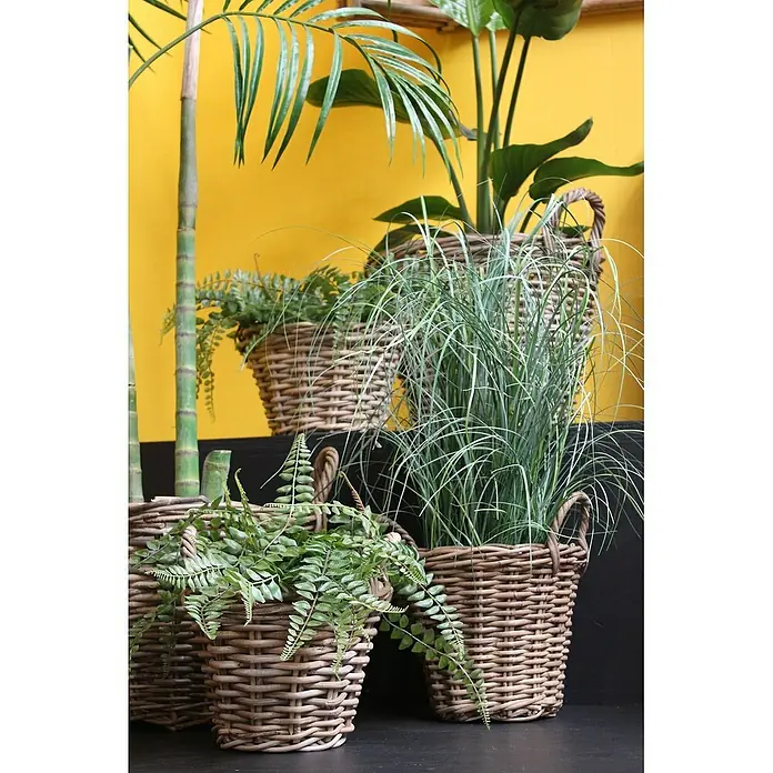 Van der Leeden Pflanztopf - Ø x H: 30 x 23 cm, Rattan, Grau - Verschiedene Zimmerpflanzen in geflochtenen Körben, die eine ruhige und natürliche Atmosphäre schaffen und jedem Raum Lebendigkeit verleihen.