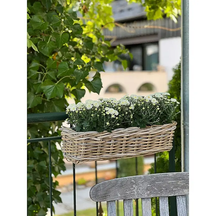 Van der Leeden Balkonkasten - Max. Außenlänge: 60 cm, Grau, Rattan - Korb mit weißen Blumen auf einem Balkon. Die Blumen sind in einem hellen Weidenkorb gepflanzt und stehen auf einem Balkongeländer.
