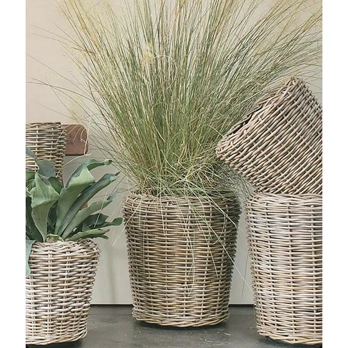 Van der Leeden Drypot Pflanzkorb - Ø x H: 42 x 44 cm, Rattan, Grau - Blick auf Pflanzen in Weidenkörben, die eine natürliche und rustikale Note in jeden Raum bringen.